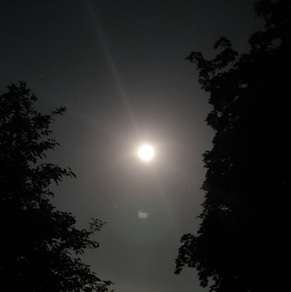 Meet your Posher, Andria - Picture 1 of 1